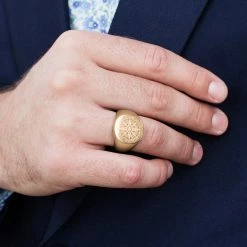 Lucleon Chevalière Ryker de couleur or rose 8 Lucleon Chevalière Ryker de couleur or rose -BAGUES Soldes rose gold ring00 scaled